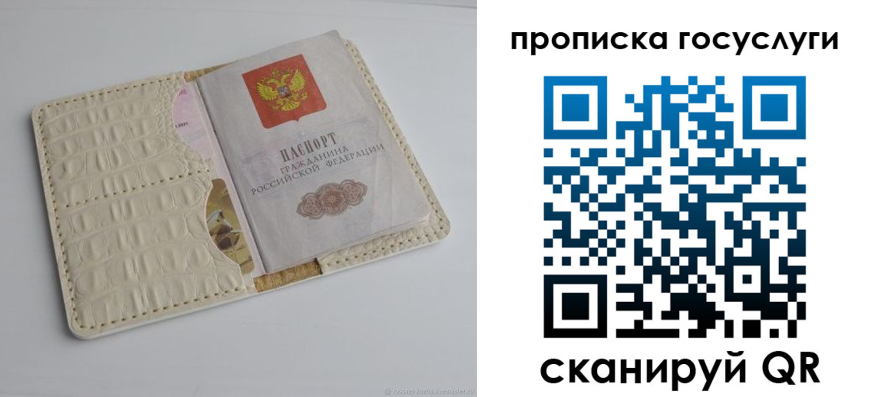 прописка в Мордовии
